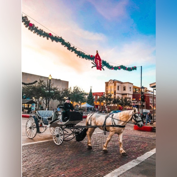 Meet your Posher Melody @pookeysmom - Picture 7 of 11